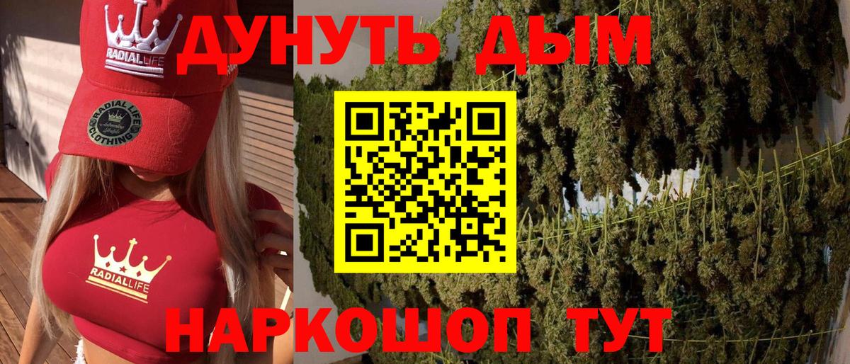 Конопля White Widow  Каннабис семена  Марихуана ГИДРОПОН  Вход с VPN  Ессентуки 